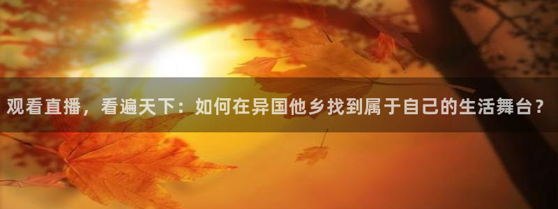 飞速直播足球比赛：观看直播，看遍天下：如何在异国他乡找到属于自己的生活舞台？