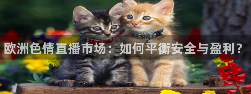 飞速体育高清直播：欧洲色情直播市场：如何平衡安全与盈利？