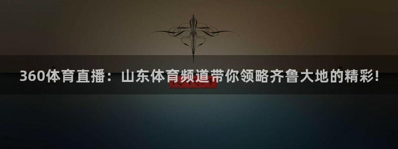飞速体育直播nba高清：360体育直播：山东体育频道带你领略齐鲁大地的精彩!