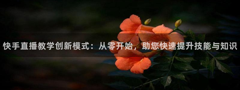 飞速直播足球比赛：快手直播教学创新模式：从零开始，助您快速提升技能与知识