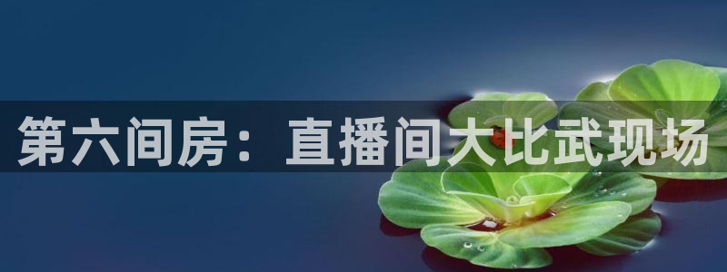 飞速体育直播全面更新升级.网站玩.org：第六间房：直播间大比武现场