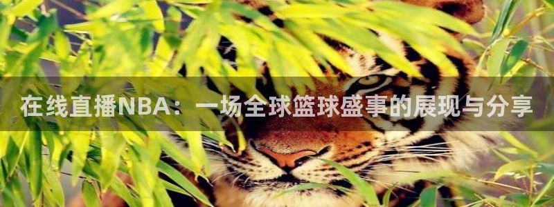 极速体育飞速直播：在线直播NBA：一场全球篮球盛事的展现与分享