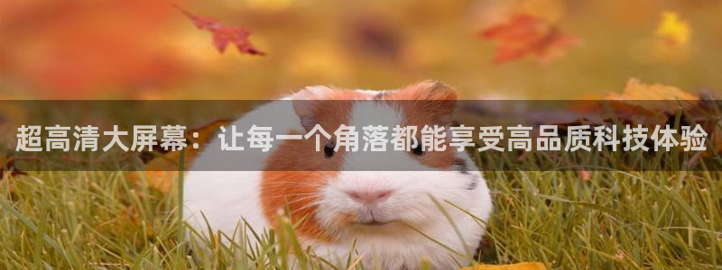 飞速体育：超高清大屏幕：让每一个角落都能享受高品质科技体验
