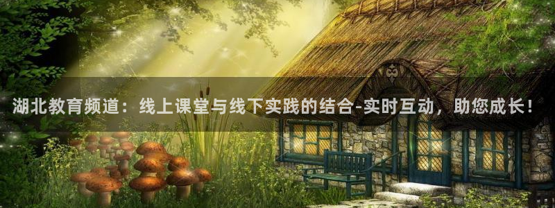 飞速体育：湖北教育频道：线上课堂与线下实践的结合-实时互动，助您成长！