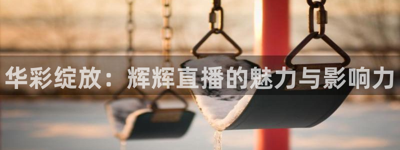 nba飞速在线直播：华彩绽放：辉辉直播的魅力与影响力