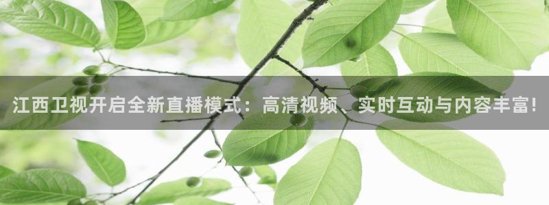 飞速nba直播在线直播：江西卫视开启全新直播模式：高清视频、实时互动与内容丰富!